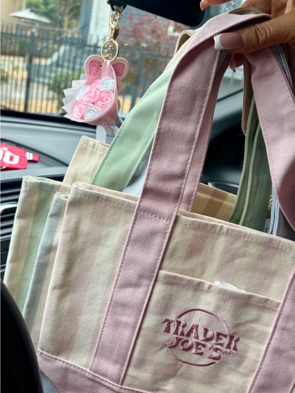 Trader Joe's Pastel Pink & Mint Canvas Tote Bag